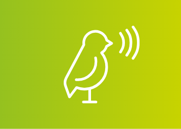 Grön AudioNova-ikon som indikerar ljudet av fåglar som visslar