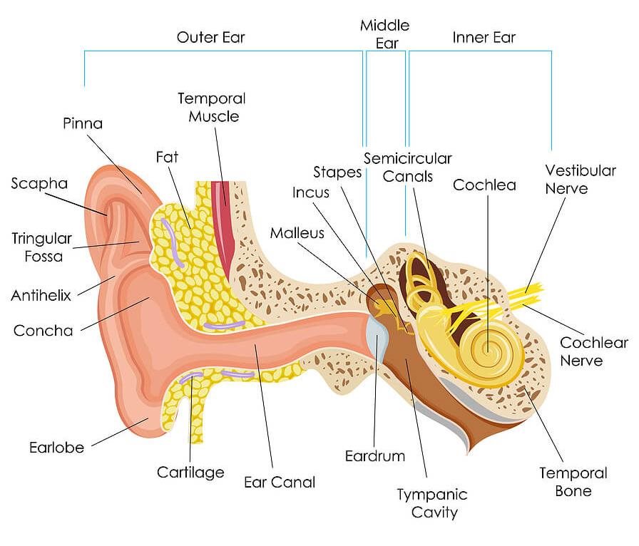 Hearing Loss: Our Expert Advice | Boots Hearingcare