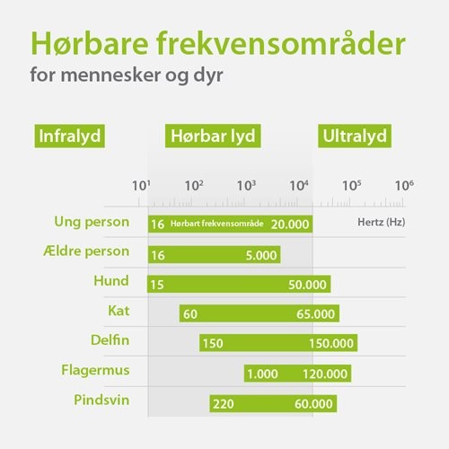 Lydstyrke Og Decibel Hvornår Er Højt For Højt Audionova