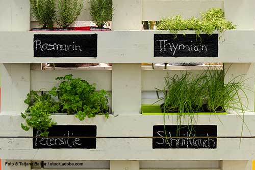 Kräutergarten für die Ohren | Vitakustik